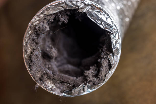 Best Air Duct Cleaning Near Me  in Portland, MI