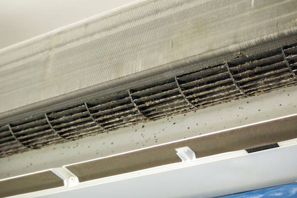Air Duct Mold Removal in Portland, MI