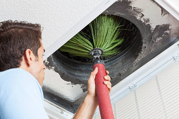 Best Air Duct Cleaning Near Me  in Portland, MI
