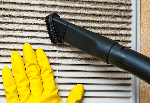 Best Ventilation Cleaning Services  in Portland, MI