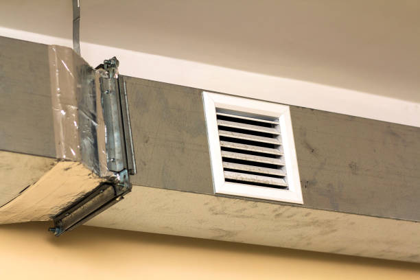 Best Professional Duct Cleaning Services  in Portland, MI